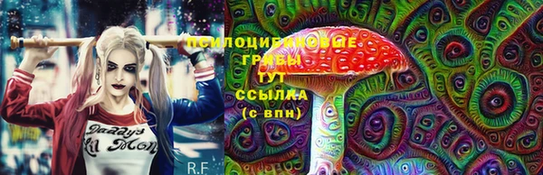 ПСИЛОЦИБИНОВЫЕ ГРИБЫ Лиски